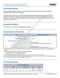 C0805X222G3GEC7210 Datasheet Page 6