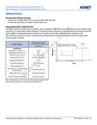 C0805X222G3GEC7210 Datasheet Page 10