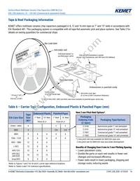 C0805X222G3GEC7210 Datasheet Page 14