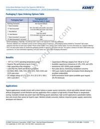 C0805X224K4RACTU Datasheet Page 2