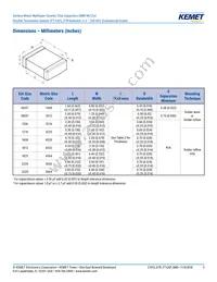 C0805X224K4RACTU Datasheet Page 3