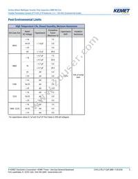 C0805X224K4RACTU Datasheet Page 5