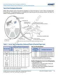 C0805X224K4RACTU Datasheet Page 18