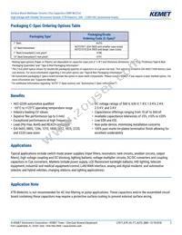 C0805X472KBRACAUTO Datasheet Page 2