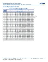 C0805X472KBRACAUTO Datasheet Page 14