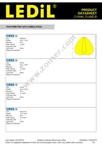C10946_FLARE-B Datasheet Page 7