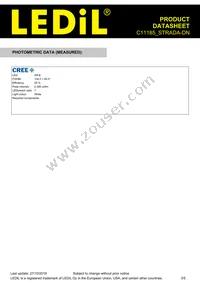 C11185_STRADA-DN Datasheet Page 3