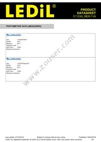C11230_RER-7-W Datasheet Page 3