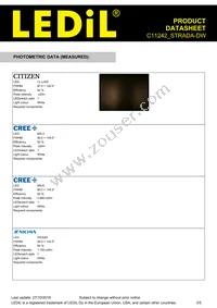 C11242_STRADA-DW Datasheet Page 3