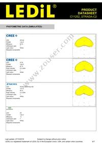 C11252_STRADA-C2 Datasheet Page 6