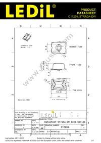 C11255_STRADA-DW Datasheet Page 2