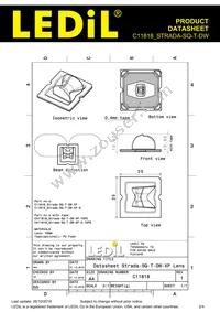 C11818_STRADA-SQ-T-DW Datasheet Page 2