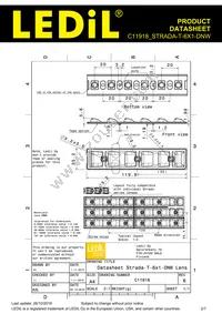 C11918_STRADA-T-6X1-DNW Datasheet Page 2
