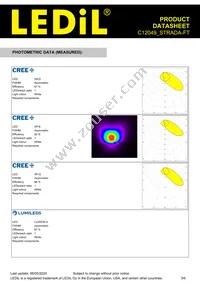 C12049_STRADA-FT Datasheet Page 3