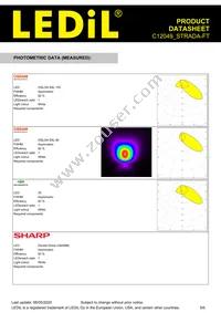 C12049_STRADA-FT Datasheet Page 5