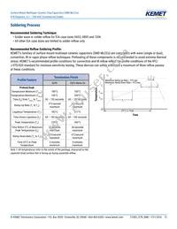 C1206C225J8RACTU Datasheet Page 13