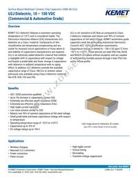 C1206C273G5JAC7800 Datasheet Cover