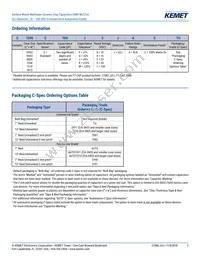 C1206C273G5JAC7800 Datasheet Page 2