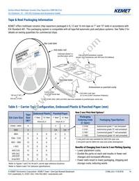 C1206C273G5JAC7800 Datasheet Page 14