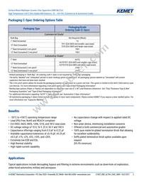 C1206C562G3HACAUTO Datasheet Page 2