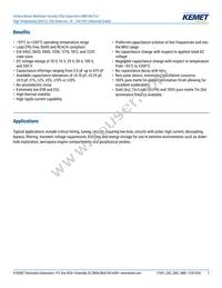 C1206H273J5GACT500 Datasheet Page 2