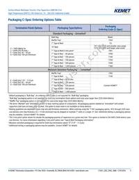 C1206H273J5GACT500 Datasheet Page 3