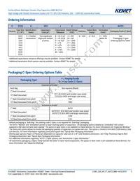 C1206X102JBGACAUTO Datasheet Page 2