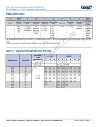 C1206X104J3REC7800 Datasheet Page 2