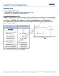 C1206X104J3REC7800 Datasheet Page 12