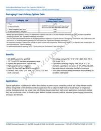 C1206X104K2RACAUTO Datasheet Page 2