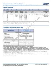 C1206X300JDGACTU Datasheet Page 2