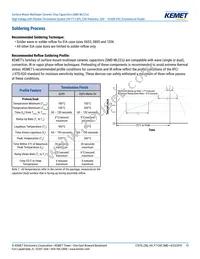 C1206X300JDGACTU Datasheet Page 13