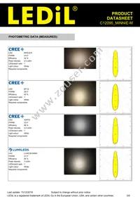 C12095_MINNIE-M Datasheet Page 3