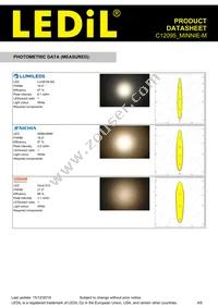 C12095_MINNIE-M Datasheet Page 4