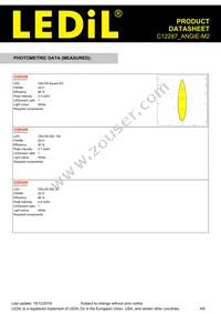C12287_ANGIE-M2 Datasheet Page 4