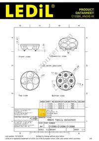 C12288_ANGIE-W Datasheet Page 2