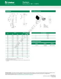 C122F1G Datasheet Page 4