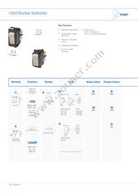 C1250APAAD Datasheet Cover