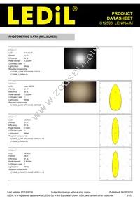 C12598_LENINA-M Datasheet Page 4