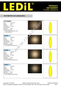 C12598_LENINA-M Datasheet Page 12