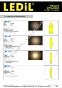 C12598_LENINA-M Datasheet Page 14