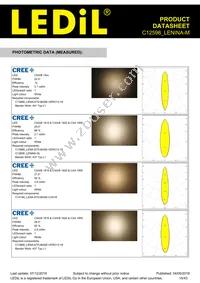 C12598_LENINA-M Datasheet Page 15