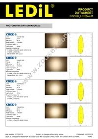 C12598_LENINA-M Datasheet Page 16