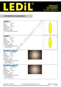 C12598_LENINA-M Datasheet Page 17