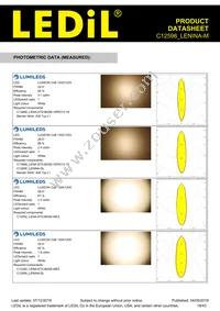 C12598_LENINA-M Datasheet Page 18