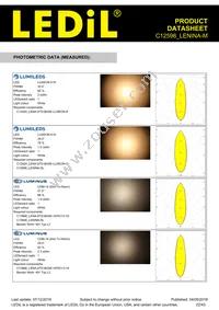 C12598_LENINA-M Datasheet Page 22