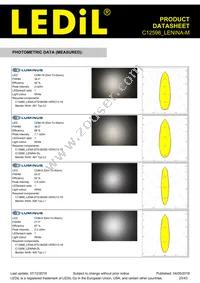 C12598_LENINA-M Datasheet Page 23