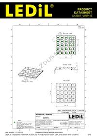 C12607_VIRPI-S Datasheet Page 2