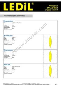 C12608_VIRPI-M Datasheet Page 8