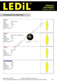 C12608_VIRPI-M Datasheet Page 9